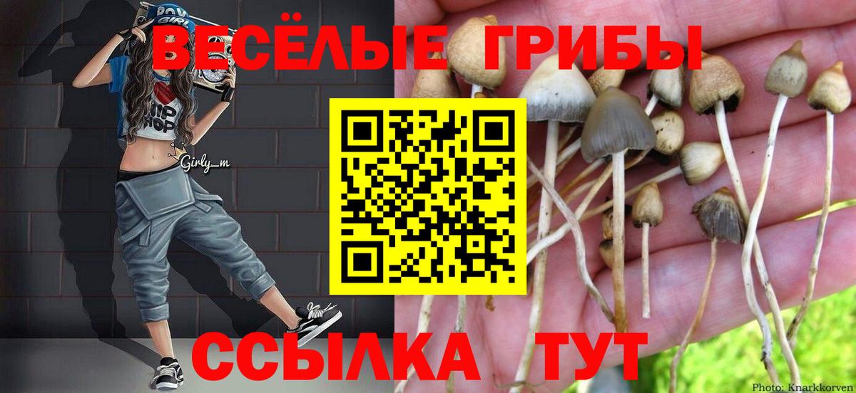 Галлюциногенные грибы MAGIC MUSHROOMS  Вход с VPN  Люберцы  Псилоцибиновые грибы Cubensis 