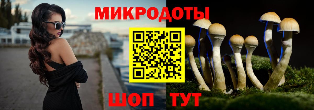Галлюциногенные грибы Cubensis Люберцы